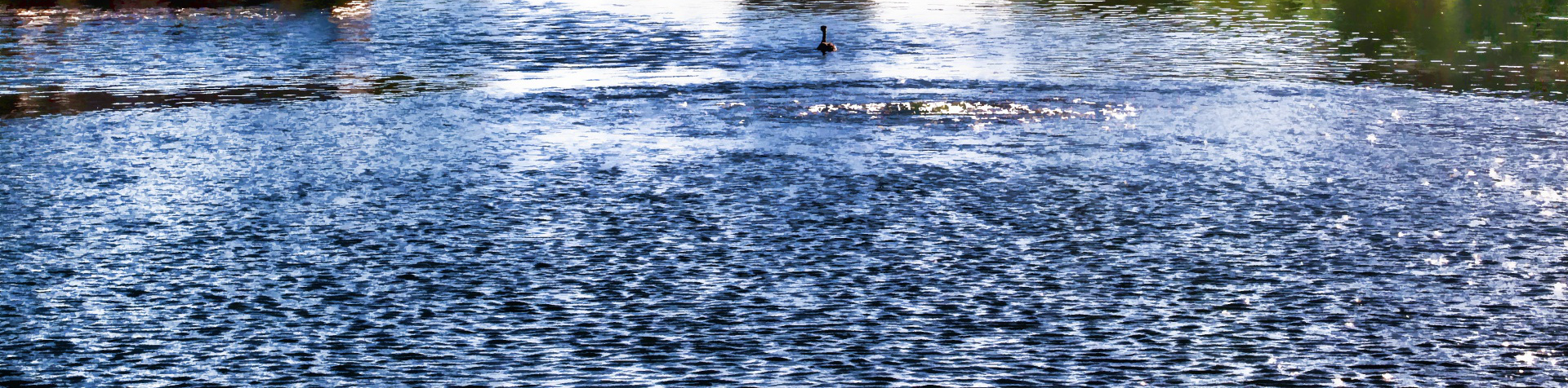 Picture of a tranquil lake